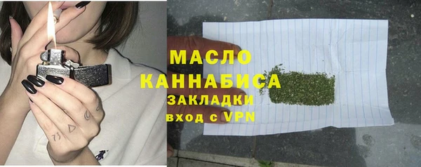 гидра Новодвинск
