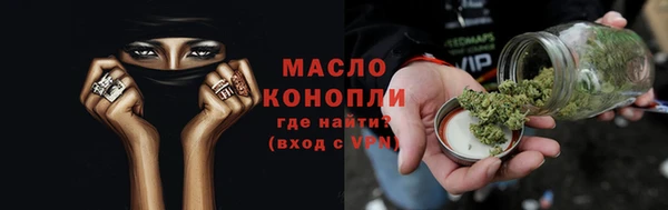 гидра Новодвинск