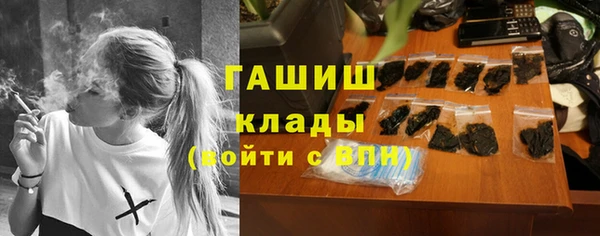 гидра Новодвинск